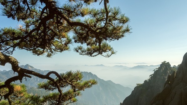 青春没有售价，黄山就在脚下。