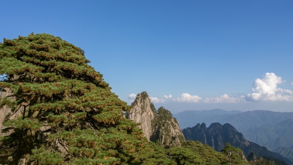 青春没有售价，黄山就在脚下。