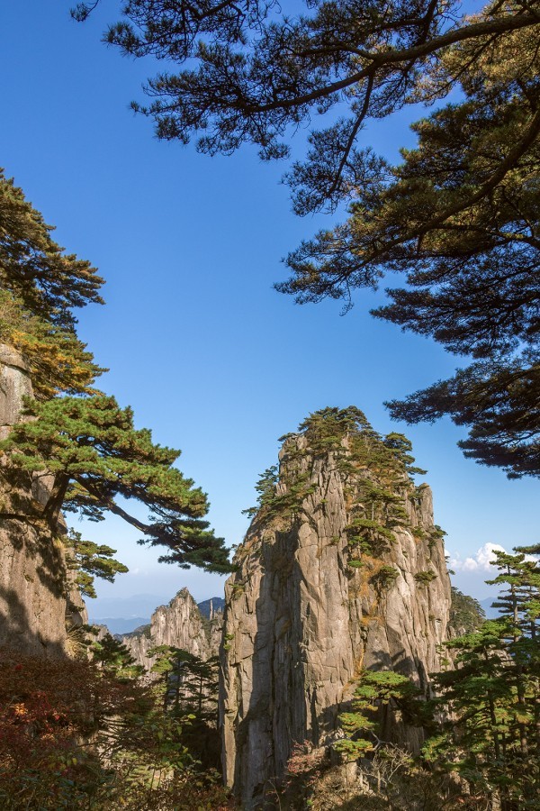 青春没有售价，黄山就在脚下。