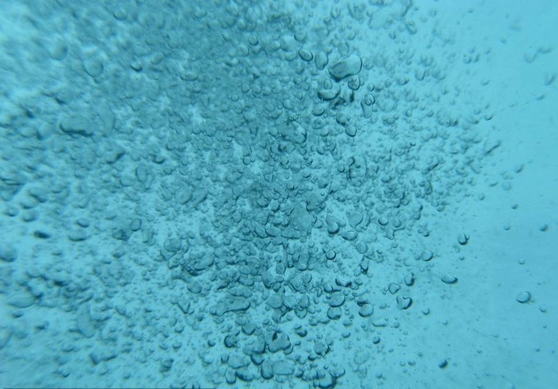 2024超实用好物清单！双十一实用性比较高的超声波清洗机推荐！