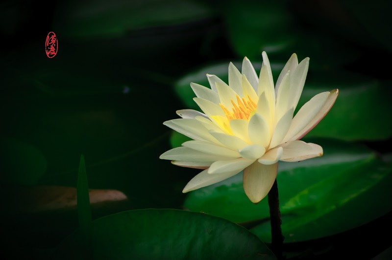 十多年前的组合，再拍拍