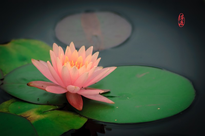 十多年前的组合，再拍拍