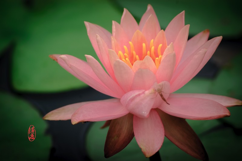 十多年前的组合，再拍拍