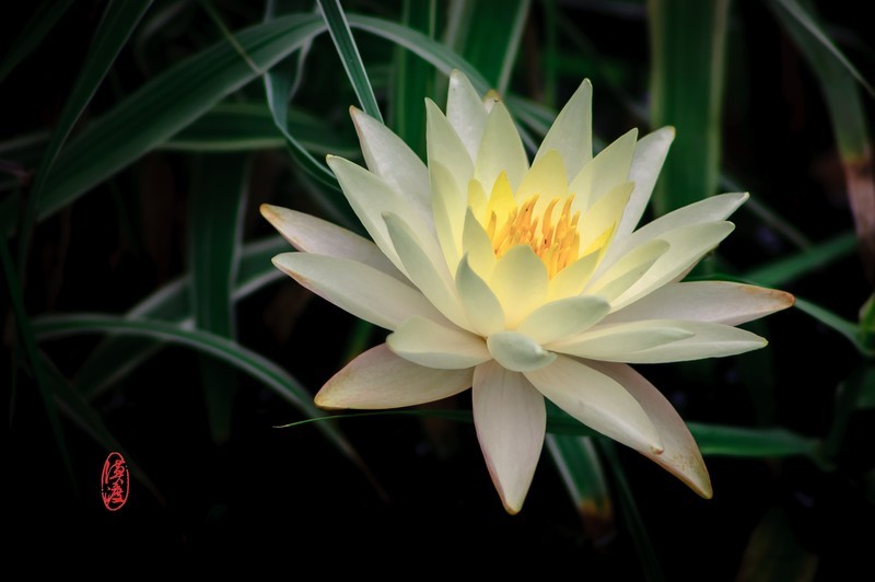 十多年前的组合，再拍拍