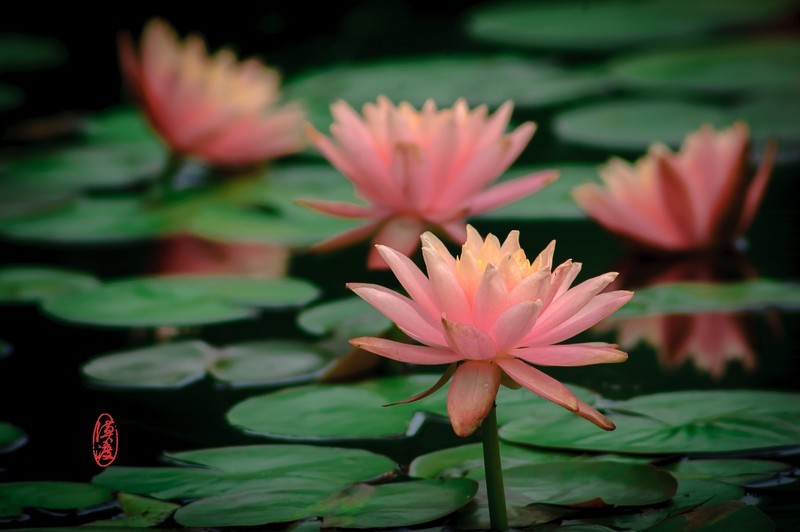 十多年前的组合，再拍拍