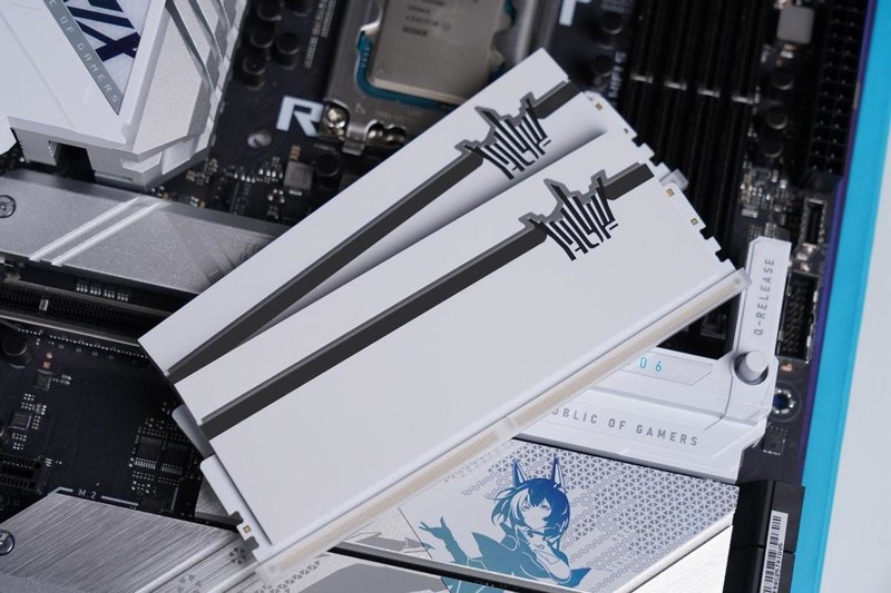 年终奖发了，喜提名人堂RTX4080水冷海景房主机