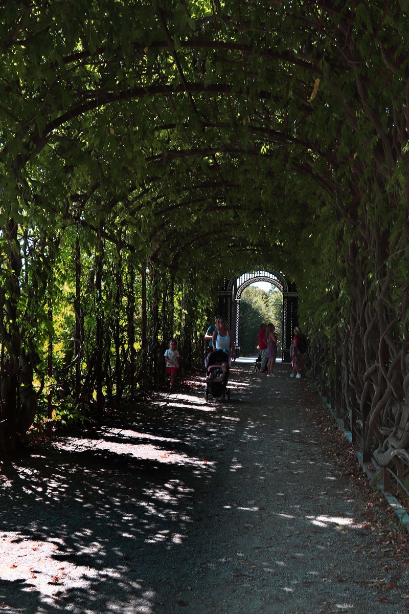 游览奥地利维也纳（一）