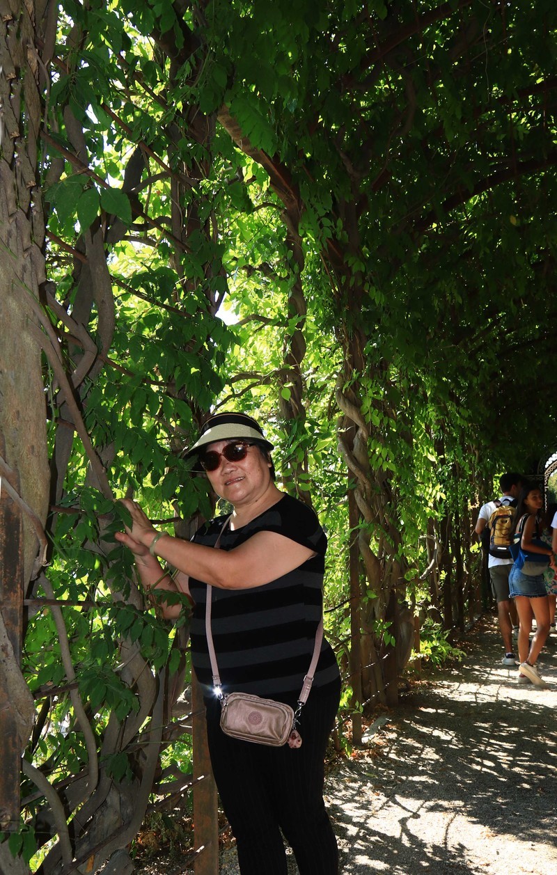 游览奥地利维也纳（一）