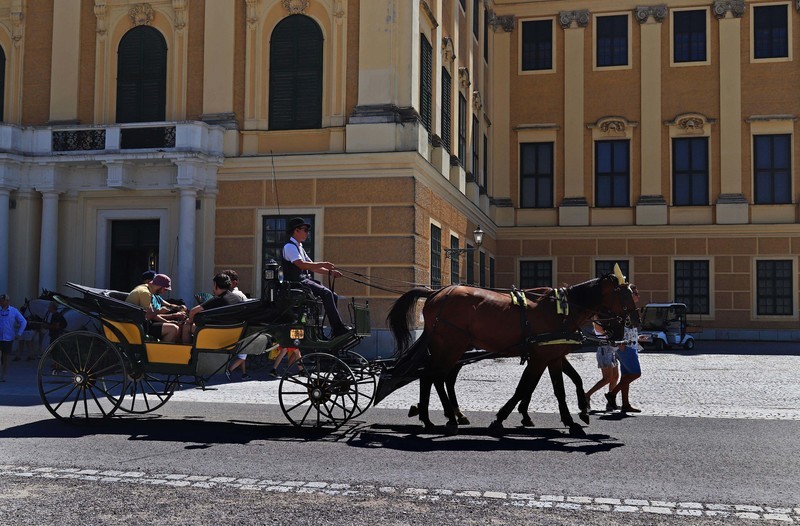 游览奥地利维也纳（一）