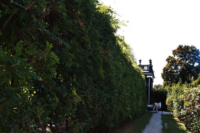 游览奥地利维也纳（一）