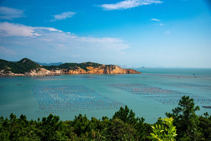 最后一次看无核污染的大海了