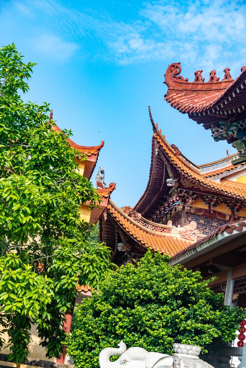 最后一次看无核污染的大海了