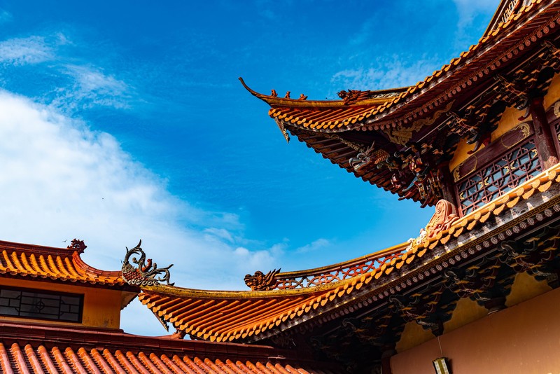 最后一次看无核污染的大海了