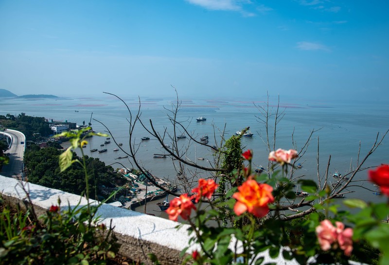 最后一次看无核污染的大海了