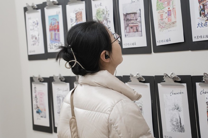 我的第一条HIFI，KZ-ZVX纳米级振膜动圈耳机深度体验