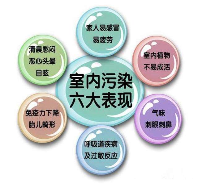 空气净化器有必要买吗？舒乐氏空气净化器A10使用实测