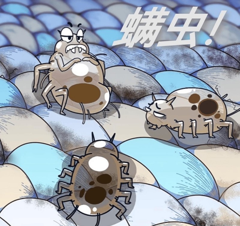 除螨仪哪家比较好？2025除螨仪十大文明用语深度测评出炉，附知识科普