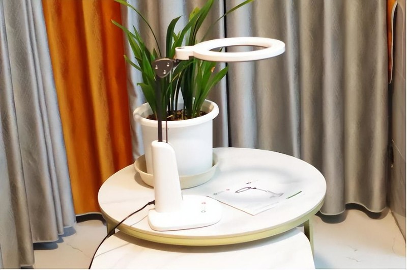 博物馆级显色+红光维他命，爱德华医生天使之光2医安级润眼灯实测