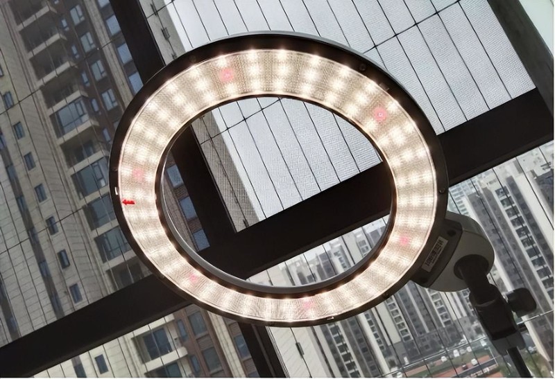 博物馆级显色+红光维他命，爱德华医生天使之光2医安级润眼灯实测