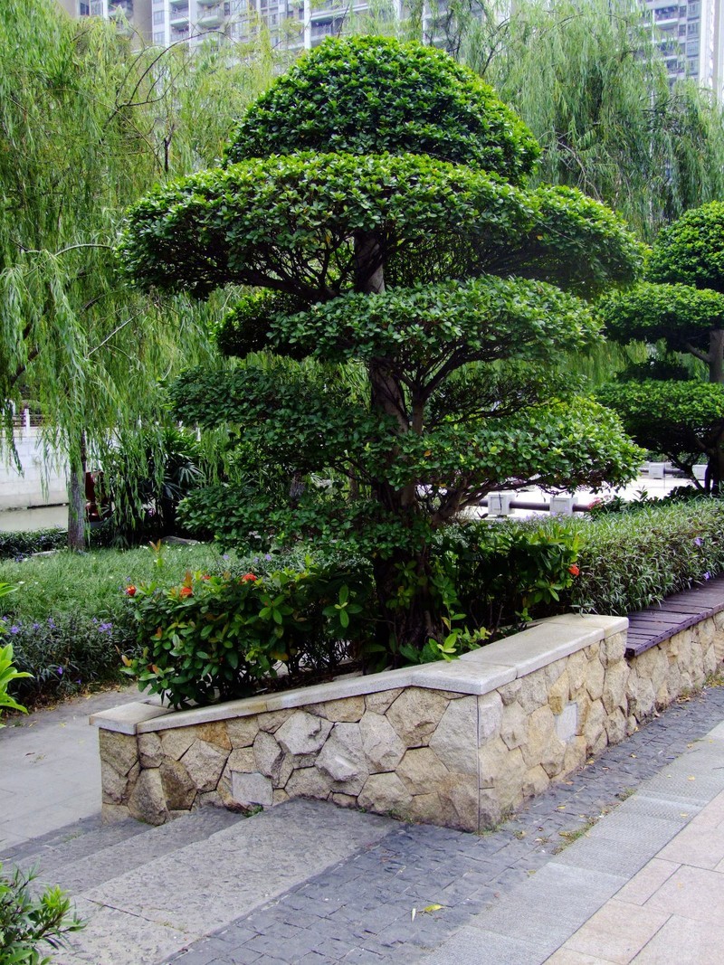 S100的RAW格式使用光影魔术手批量转换为JPEG格式，转换中只添加了去雾处理