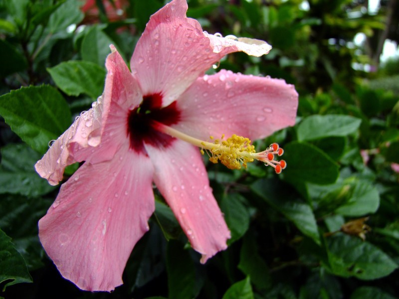 S100直出JPEG格式，只作了批量去雾处理