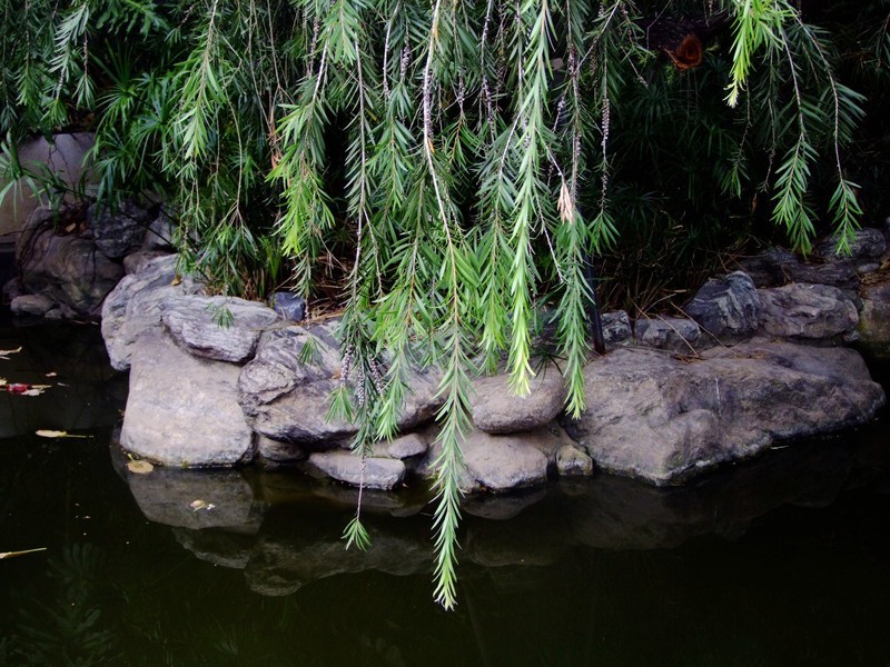 S100的RAW格式使用光影魔术手批量转换为JPEG格式，转换中只添加了去雾处理