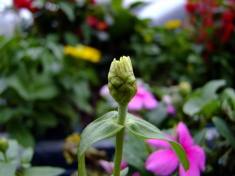 S100直出JPEG格式，只作了批量去雾处理