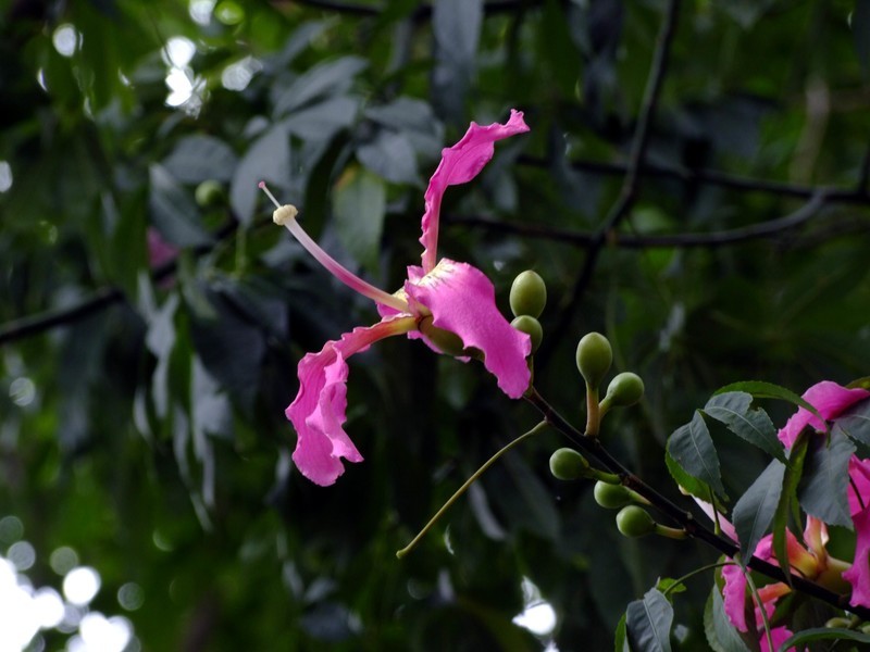 S100直出JPEG格式，只作了批量去雾处理