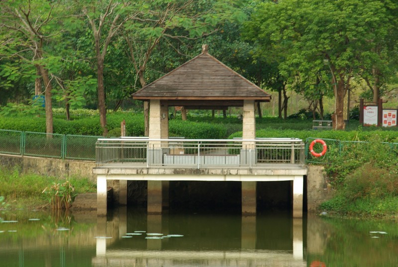 宾得K10d+DA16-85mm f/3.5-5.6ED镜头随拍