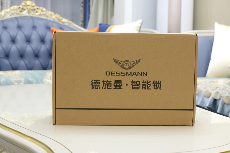 体验德施曼新款Q5MPlus，多功能集成一体，方便更安全
