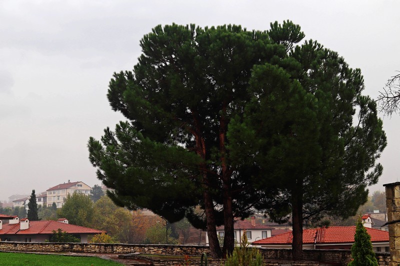 土耳其希德尔立克山丘