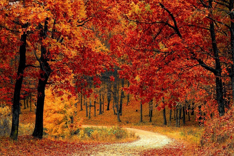 4K、240Hz、QD-OLED，高端显示器微星MAG 272UP QD-OLED X24体验