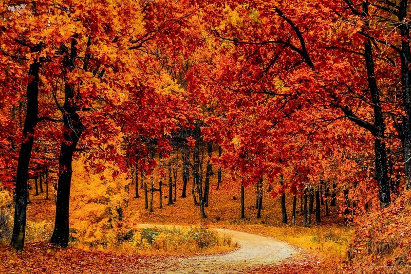 4K、240Hz、QD-OLED，高端显示器微星MAG 272UP QD-OLED X24体验