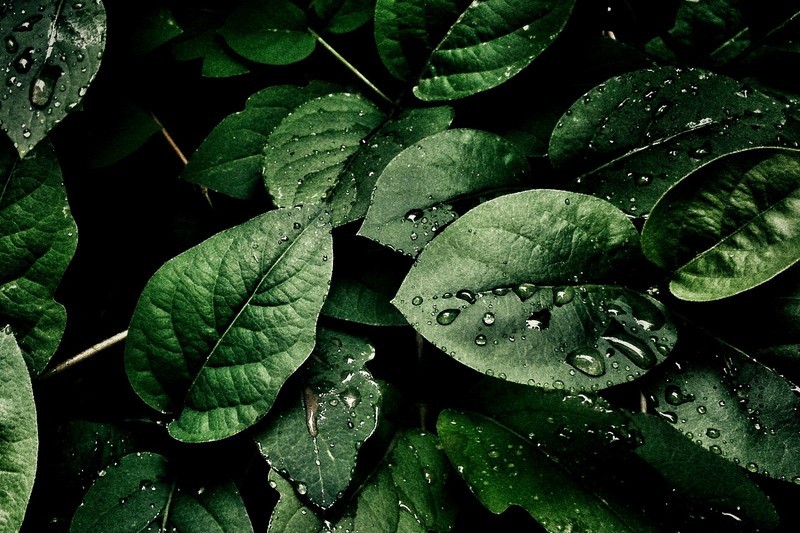 4K、240Hz、QD-OLED，高端显示器微星MAG 272UP QD-OLED X24体验