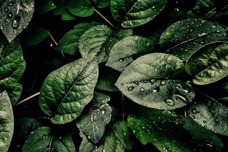 4K、240Hz、QD-OLED，高端显示器微星MAG 272UP QD-OLED X24体验