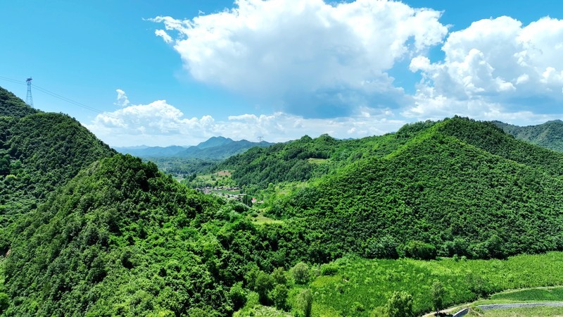 甘肃陇南徽县风光