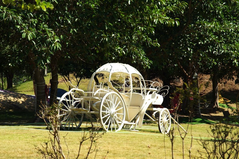 惠州大亚湾儿童公园随拍