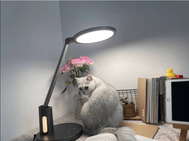 护眼台灯是不是智商税？今天教你台灯怎么选