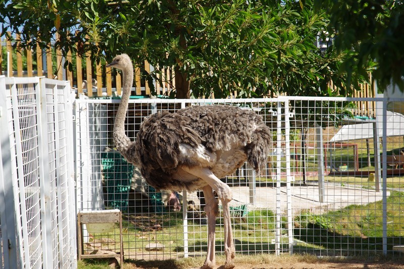 惠州大亚湾儿童公园随拍
