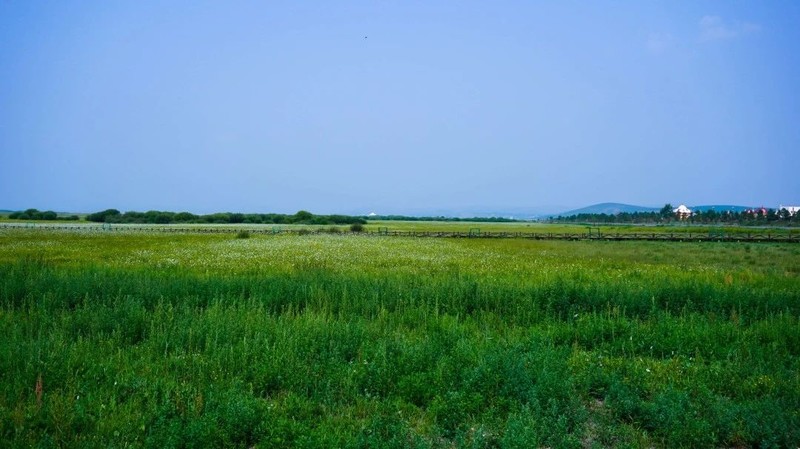 京北草原大汗行宫 | 冰雪与暖阳的私语