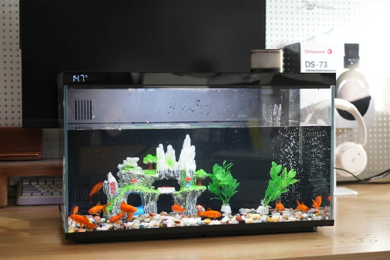 革新养鱼体验：当贝智能鱼缸1 Ultra，你的私人AI养鱼顾问