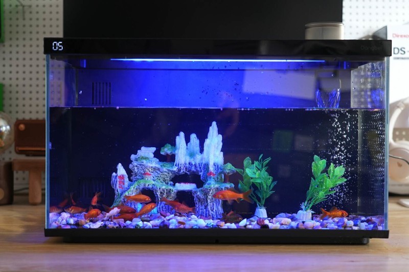 革新养鱼体验：当贝智能鱼缸1 Ultra，你的私人AI养鱼顾问