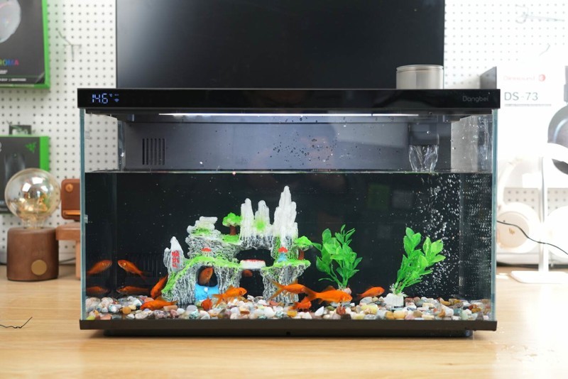 革新养鱼体验：当贝智能鱼缸1 Ultra，你的私人AI养鱼顾问