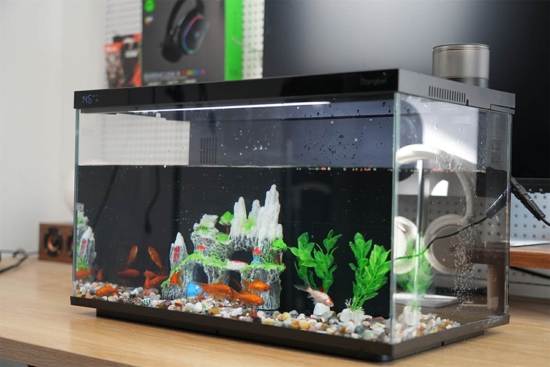 革新养鱼体验：当贝智能鱼缸1 Ultra，你的私人AI养鱼顾问