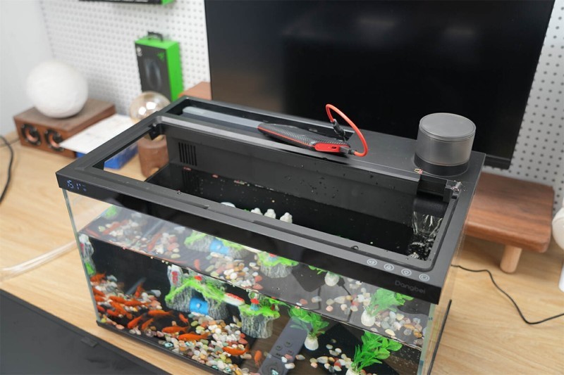 革新养鱼体验：当贝智能鱼缸1 Ultra，你的私人AI养鱼顾问