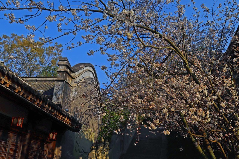 游览重庆昌州古城景区