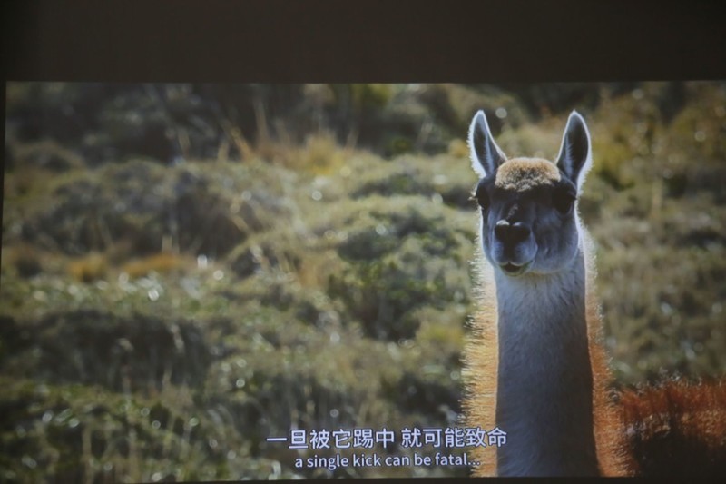 高颜值更清晰，泰捷WEBOX T1S投影仪