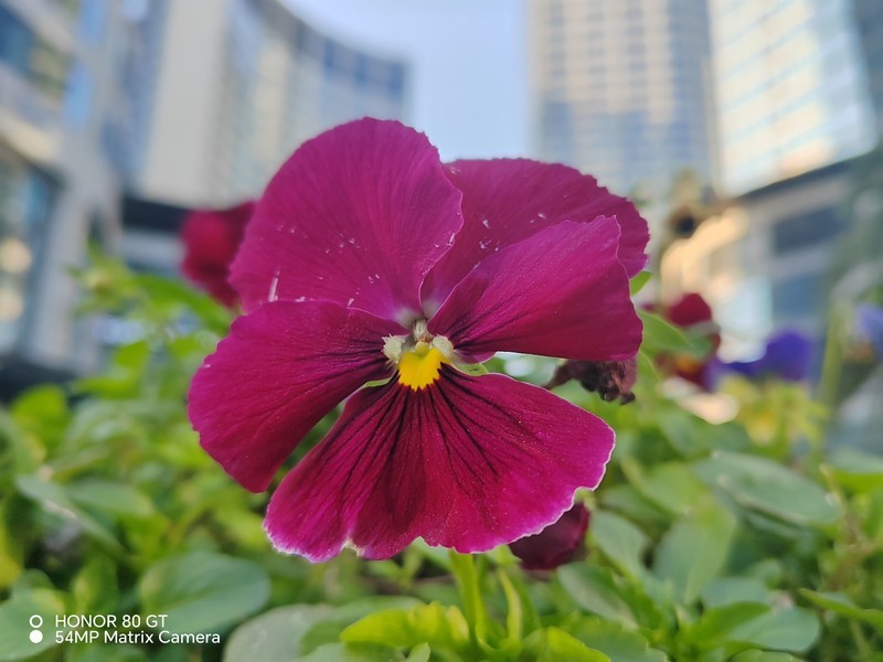 荣耀80GT上手评测：双芯+超级散热，带来流畅游戏体验