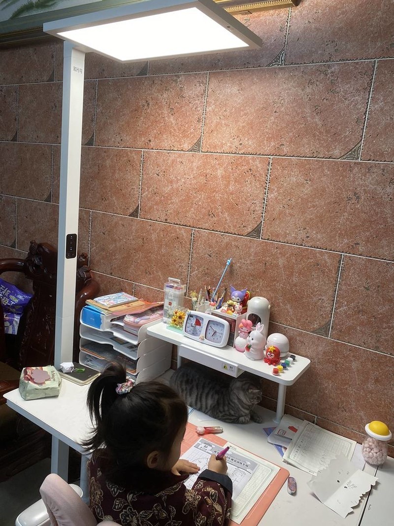 家庭用的落地台灯有哪些好用的品牌？五款儿童护眼落地台灯推荐