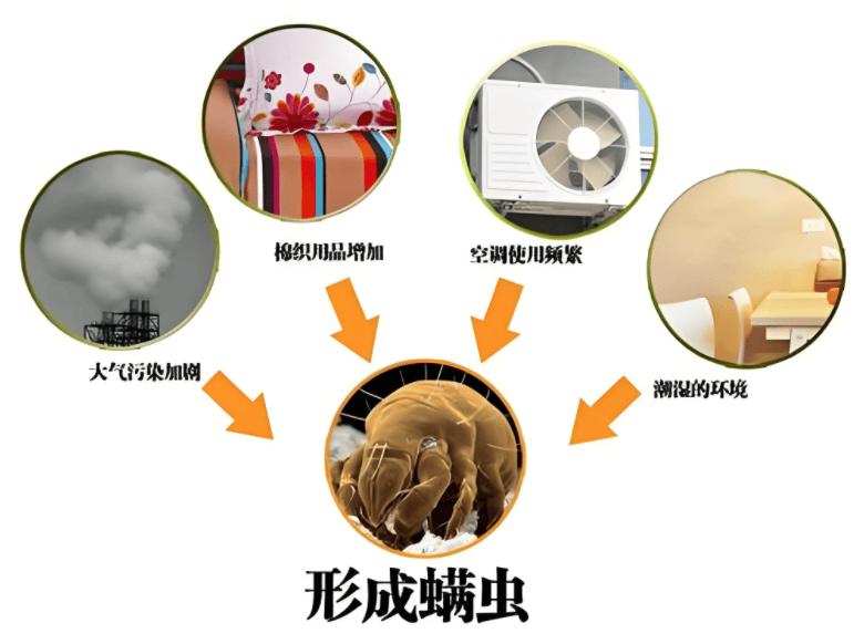 618买床上除螨仪怎么选？2025年最值得推荐的5款高性价比除螨仪！